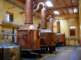 ホセ・クエルボの銅製蒸留器